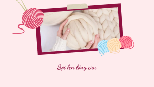sợi len lông cừu