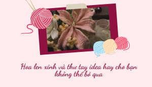 Hoa len xinh và thư tay idea hay cho bạn không thể bỏ qua