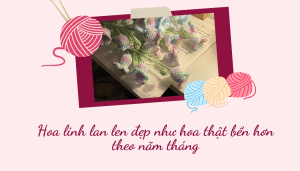 Hoa linh lan len đẹp như hoa thật bền hơn theo năm tháng