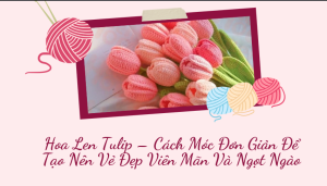hoa len tulip