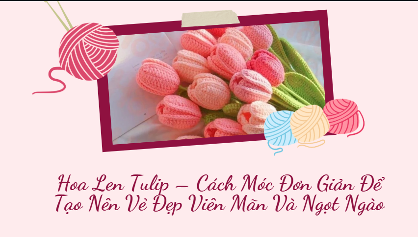 hoa len tulip