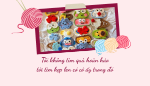 Tôi không tìm quà hoàn hảo, tôi tìm kẹp len có cô ấy trong đó