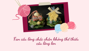 Fan cầu lông chắc chắn không thể thiếu cầu lông len